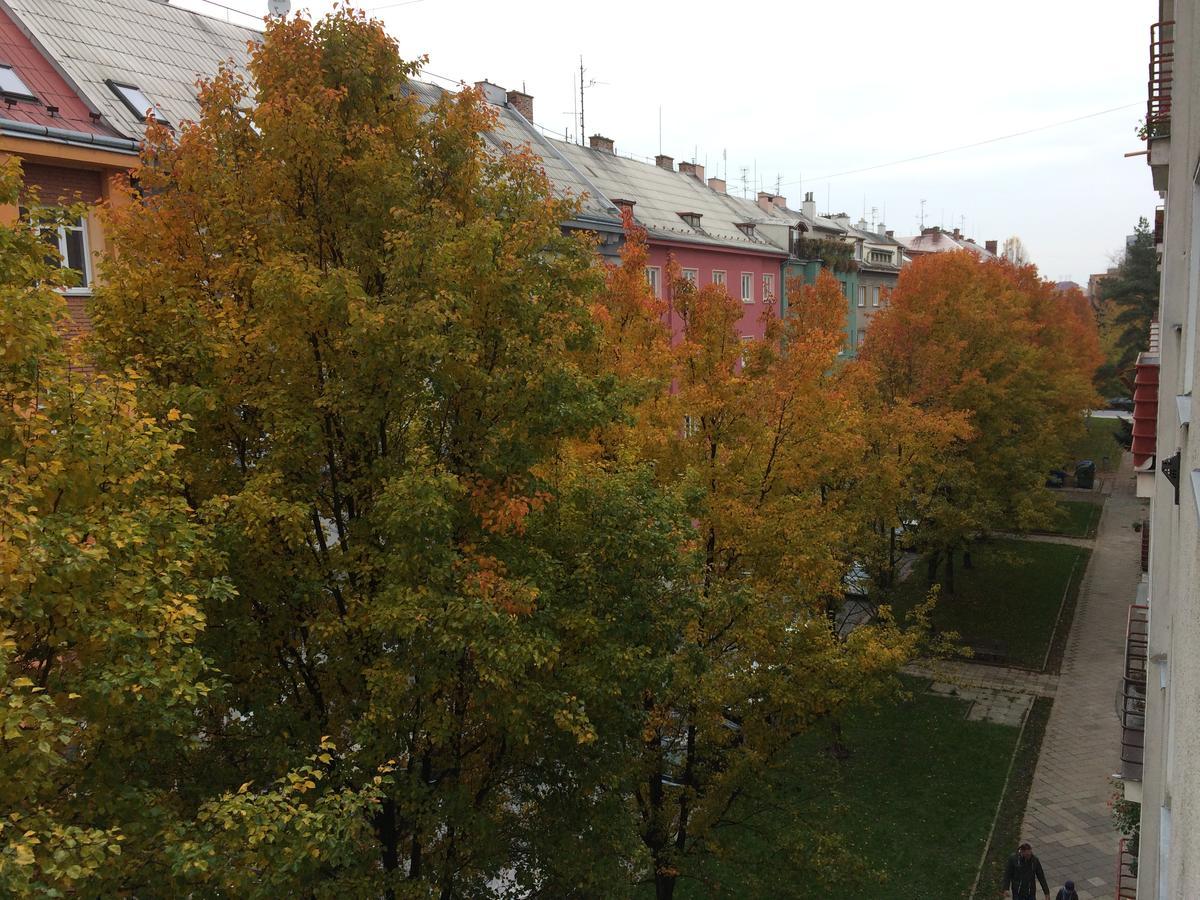 Apartment Sophie Olomouc Dış mekan fotoğraf